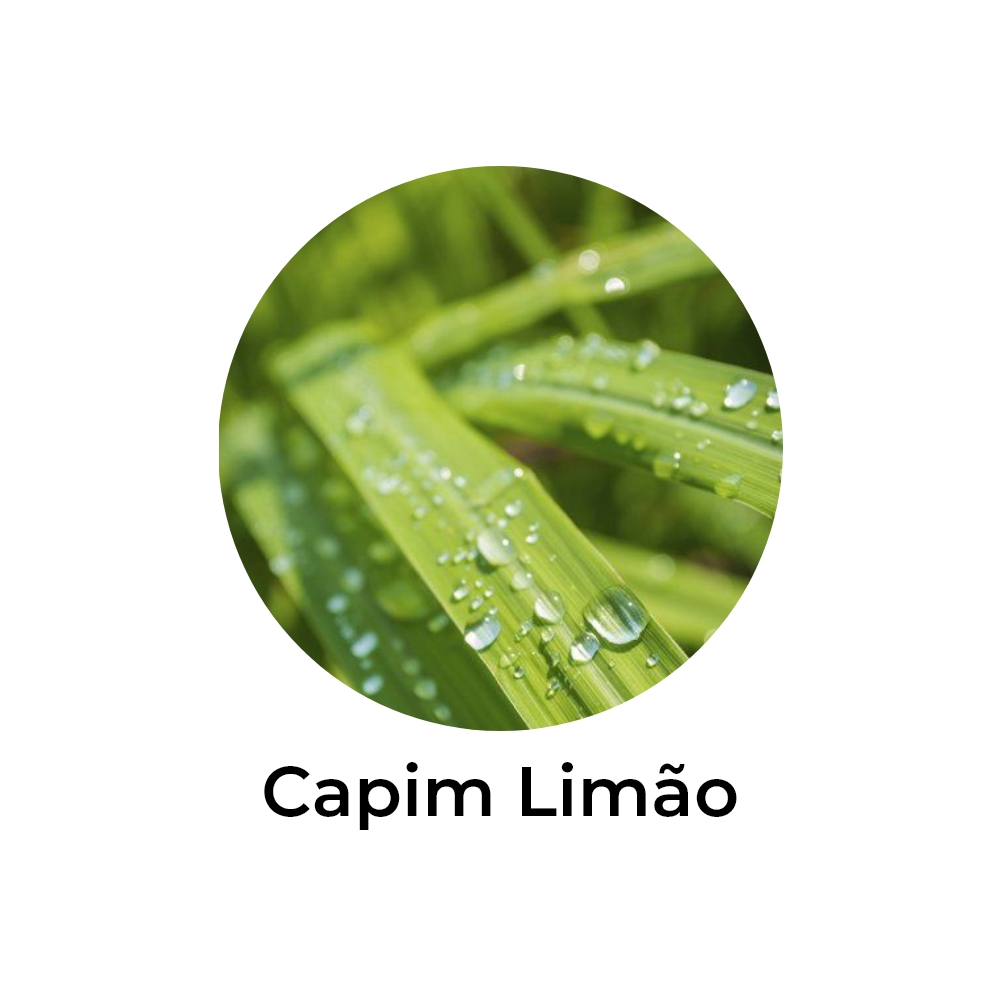 essência de capim limão