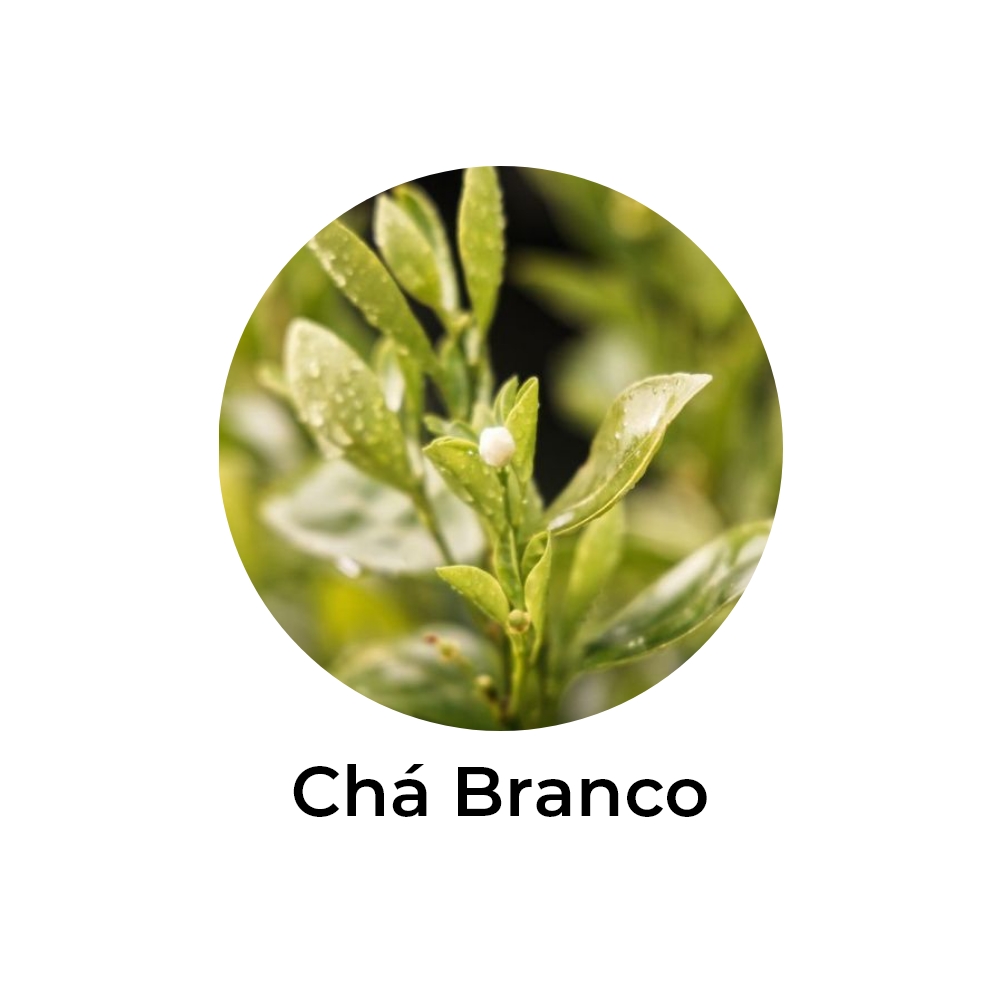 essência de chá branco