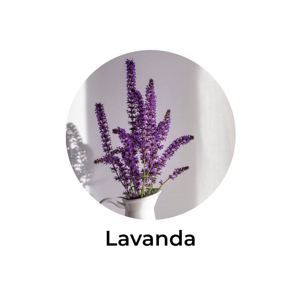 essência de lavanda