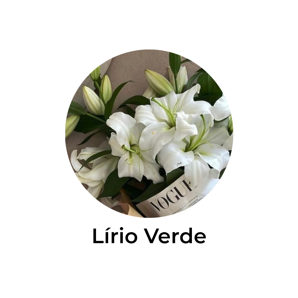 essência de lírio verde