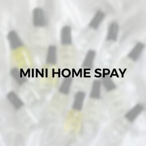 mini home spray